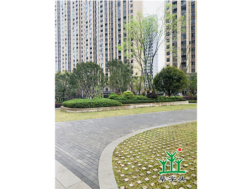 湖南長(zhǎng)沙中天星耀城綠化項(xiàng)目 湖南長(zhǎng)沙中天星耀城綠化項(xiàng)目